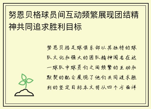 努恩贝格球员间互动频繁展现团结精神共同追求胜利目标