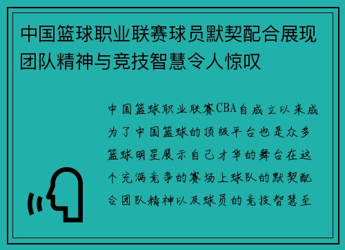 中国篮球职业联赛球员默契配合展现团队精神与竞技智慧令人惊叹