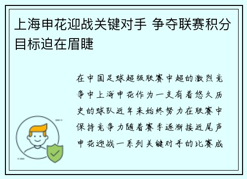 上海申花迎战关键对手 争夺联赛积分目标迫在眉睫