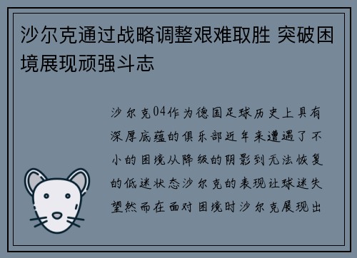 沙尔克通过战略调整艰难取胜 突破困境展现顽强斗志